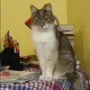 Отзыв от Алена Кочетова